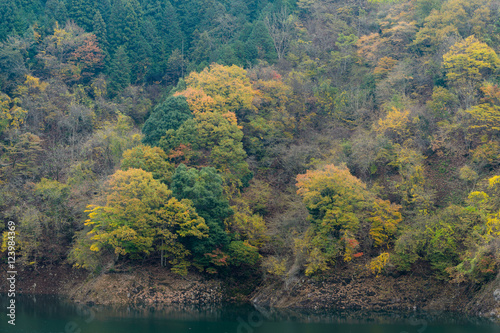 秋の宮ヶ瀬湖 