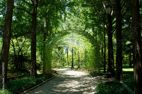 Yeouido Park in Seoul in summer, South Korea