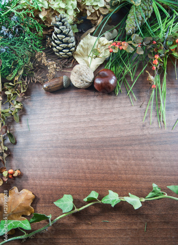 Colorful autumn with leaves, pine cones, chestnuts, nut and acor photo