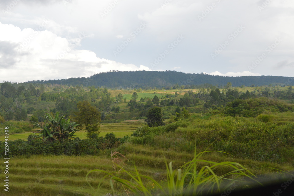 North Sumatera Landscape