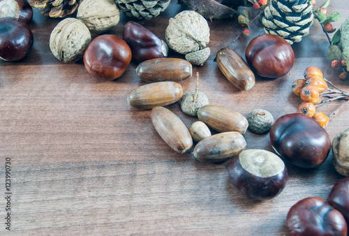 Colorful autumn with leaves, pine cones, chestnuts, nut and acor photo