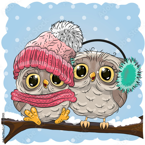 Two cute owls