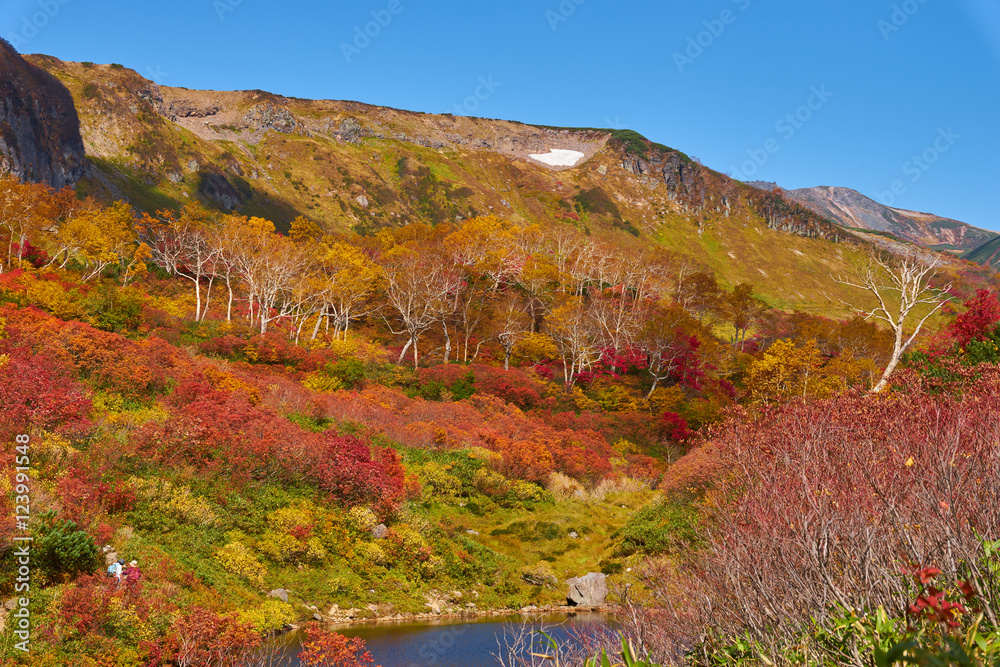 大雪高原温泉 沼めぐり 式部沼から見た紅葉