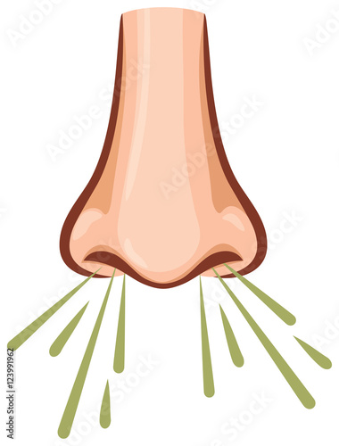 nose and sneezing (sniffle design)