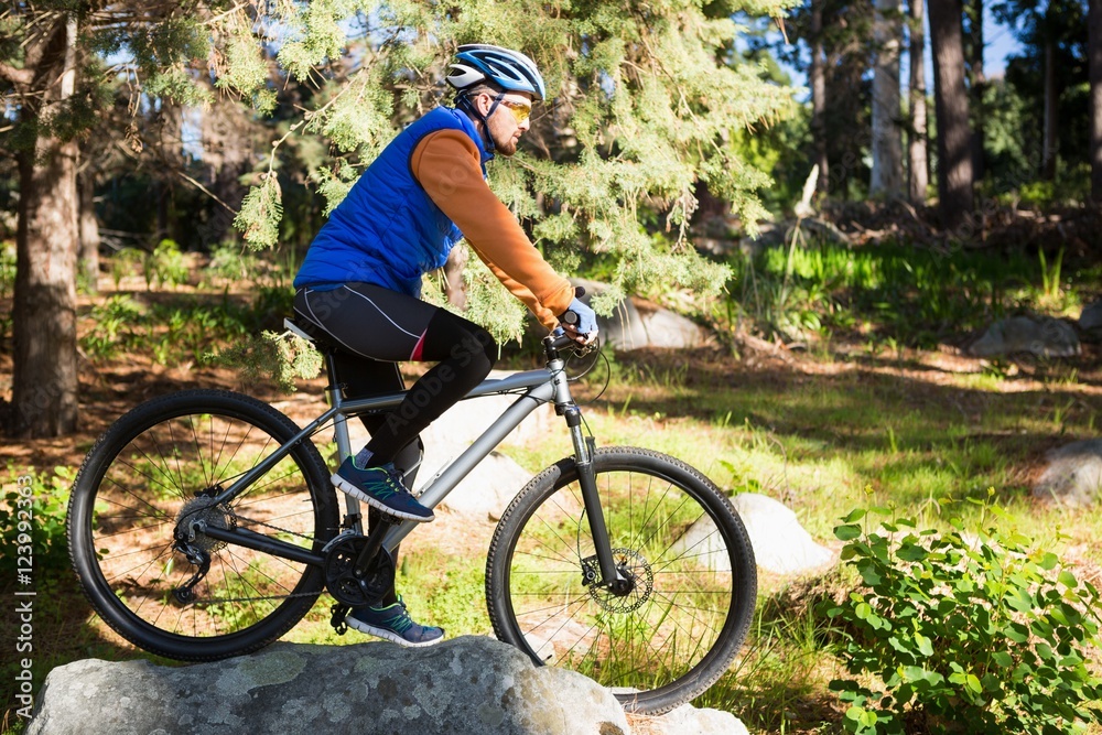 Fototapeta premium Male mountain biker riding bicycle in the forest