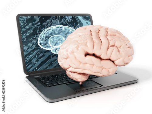 Brain standing on laptop computer keyboard. 3D illustration