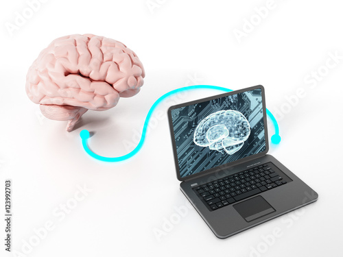 Brain connected to the laptop computer. 3D illustration