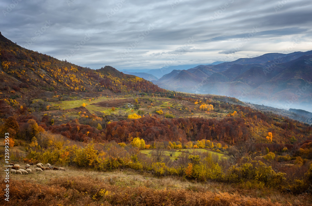 Golden autumn /
Amazing autumn view of a mountain meadow in the central Balkan Mountains, Bulgaria Golden autumn /
Amazing autumn view of a mountain meadow in the central Balkan Mountains, Bulgaria