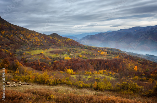 Golden autumn / Amazing autumn view of a mountain meadow in the central Balkan Mountains, Bulgaria