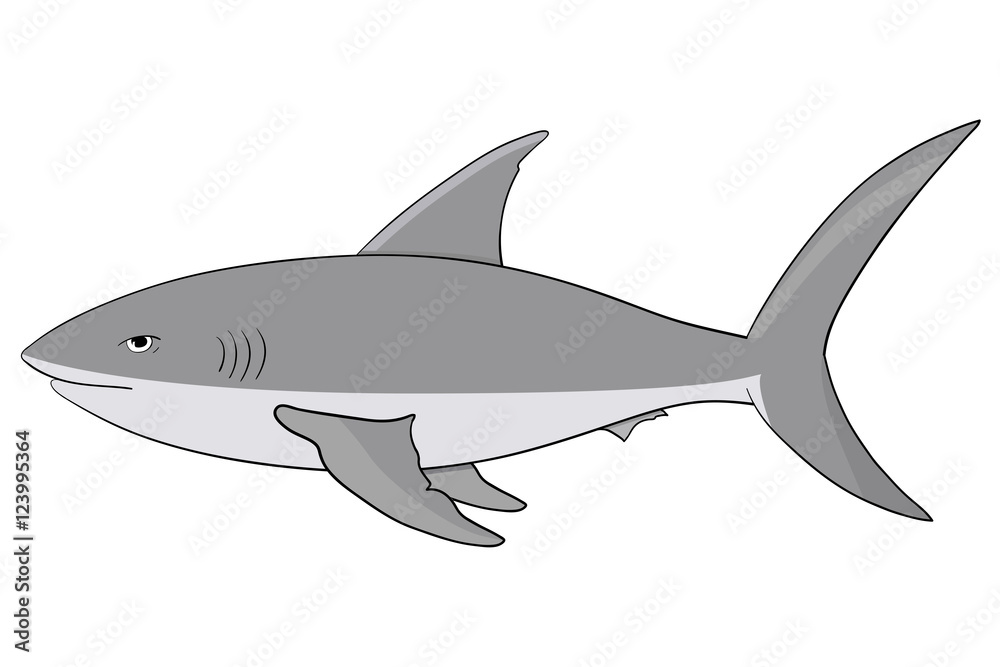 Fototapeta premium Shark