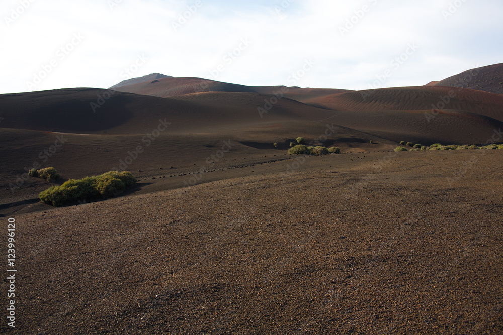 Deserto lavico a Lanzarote