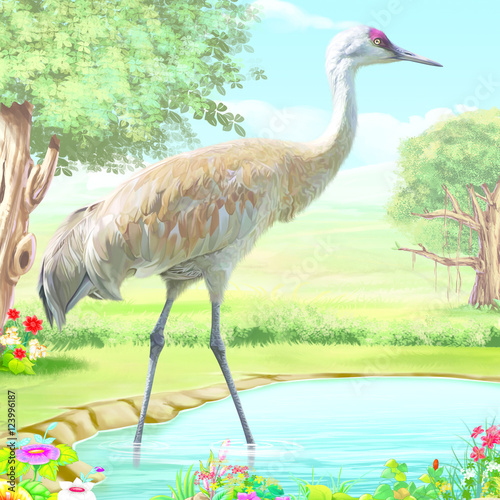 Crane