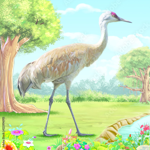 Crane