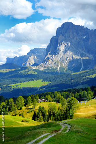 Seiser Alm, the largest high altitude Alpine meadow in Europe, stunning rocky mountains on the background © MNStudio