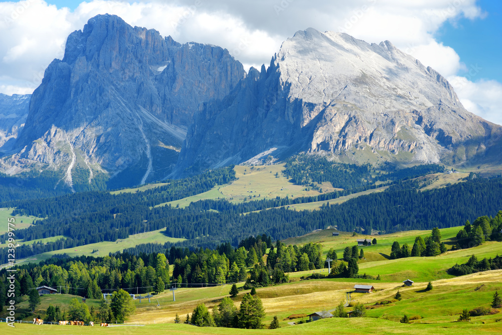 Seiser Alm, the largest high altitude Alpine meadow in Europe, stunning rocky mountains on the background