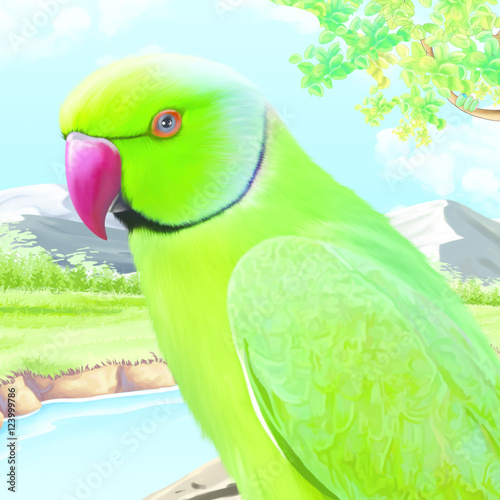 Parrot