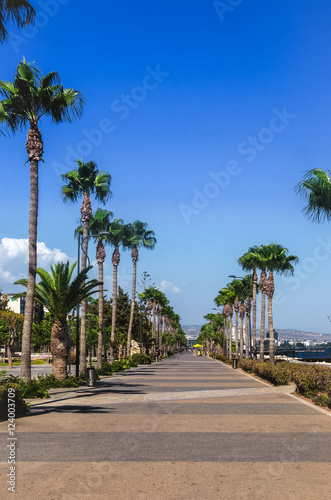 Coastline and promenade in Limassol  island Cyprus  Europe  Medi