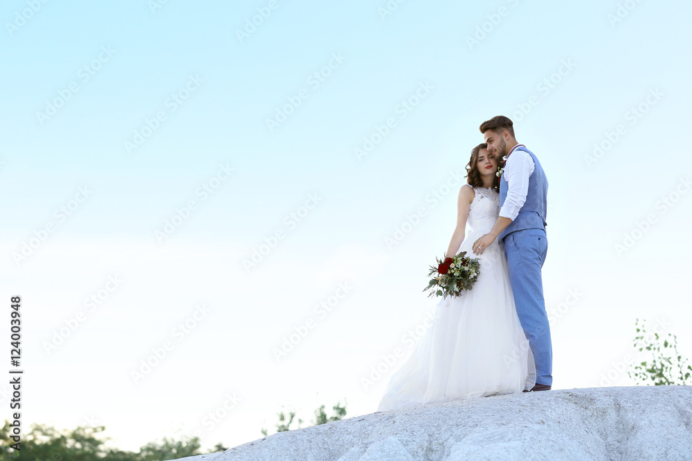 Bride and groom standing over beautiful landscape Bride and groom standing over beautiful landscape