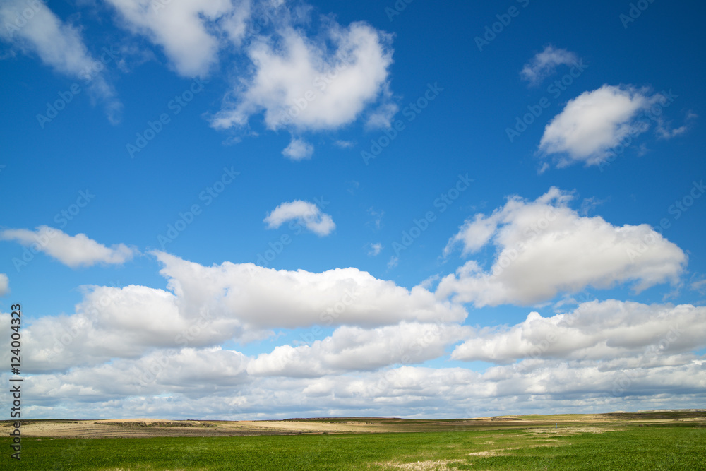 Fototapeta premium Landscape in Spain