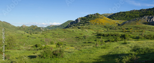 Vista panoramica de paisaje monta  oso con bosques  picos y colinas recubiertos de  hierba verde en primavera 