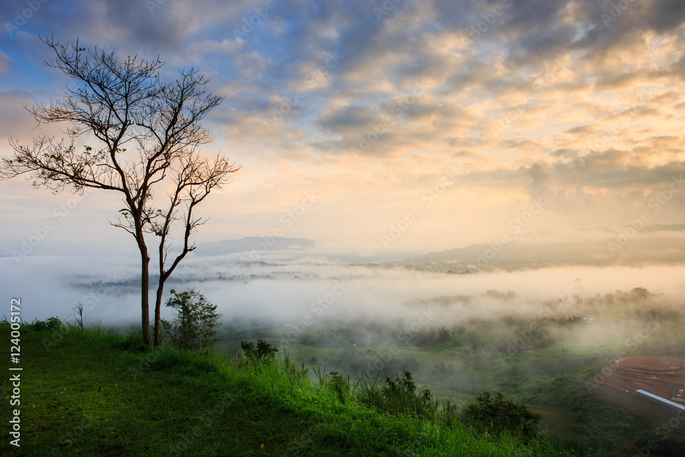 The landscape photo, beautiful sea fog in morning time at Khao Kho, Phetchabun in Thailand The landscape photo, beautiful sea fog in morning time at Khao Kho, Phetchabun in Thailand