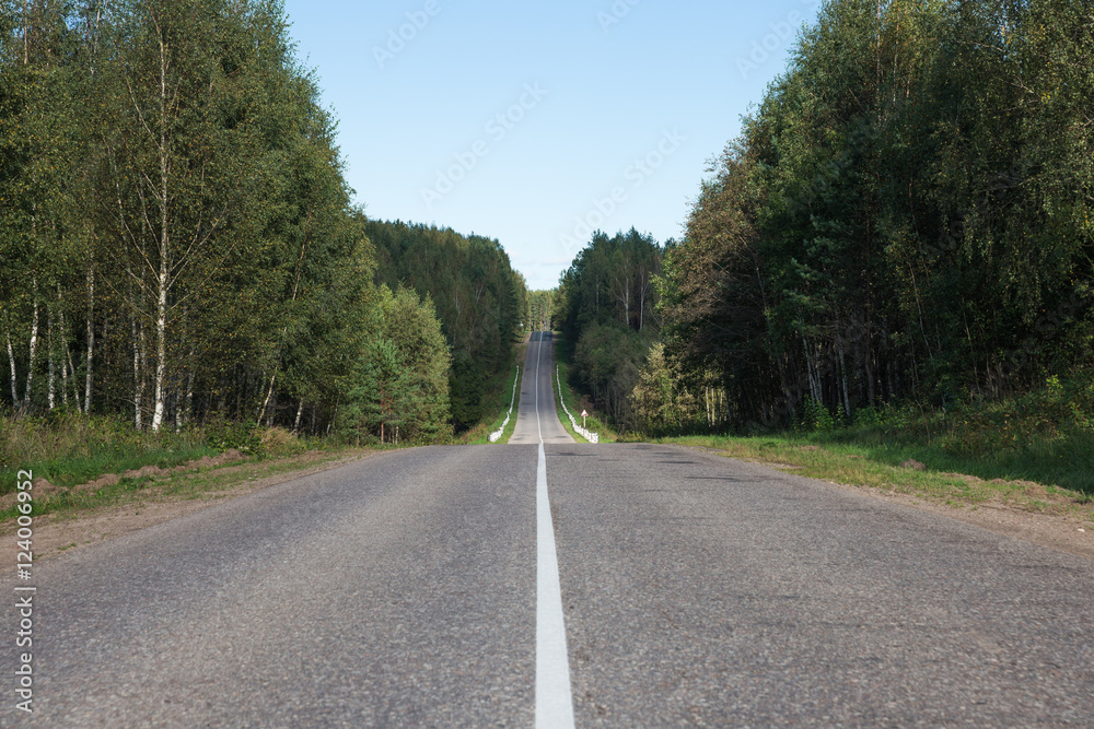 Direct road among trees