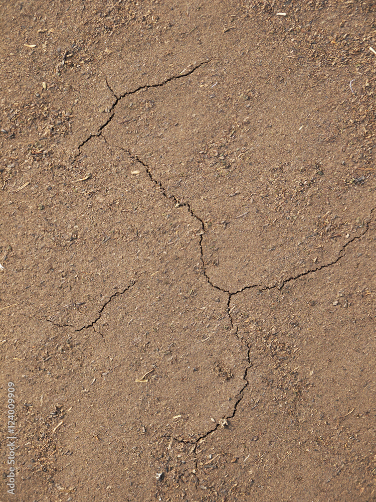 crack in the ground crack in the ground