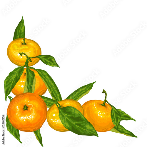 Decorative element with mandarins. Tropical fruits and leaves