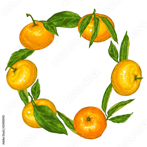 Frame with mandarins. Tropical fruits and leaves