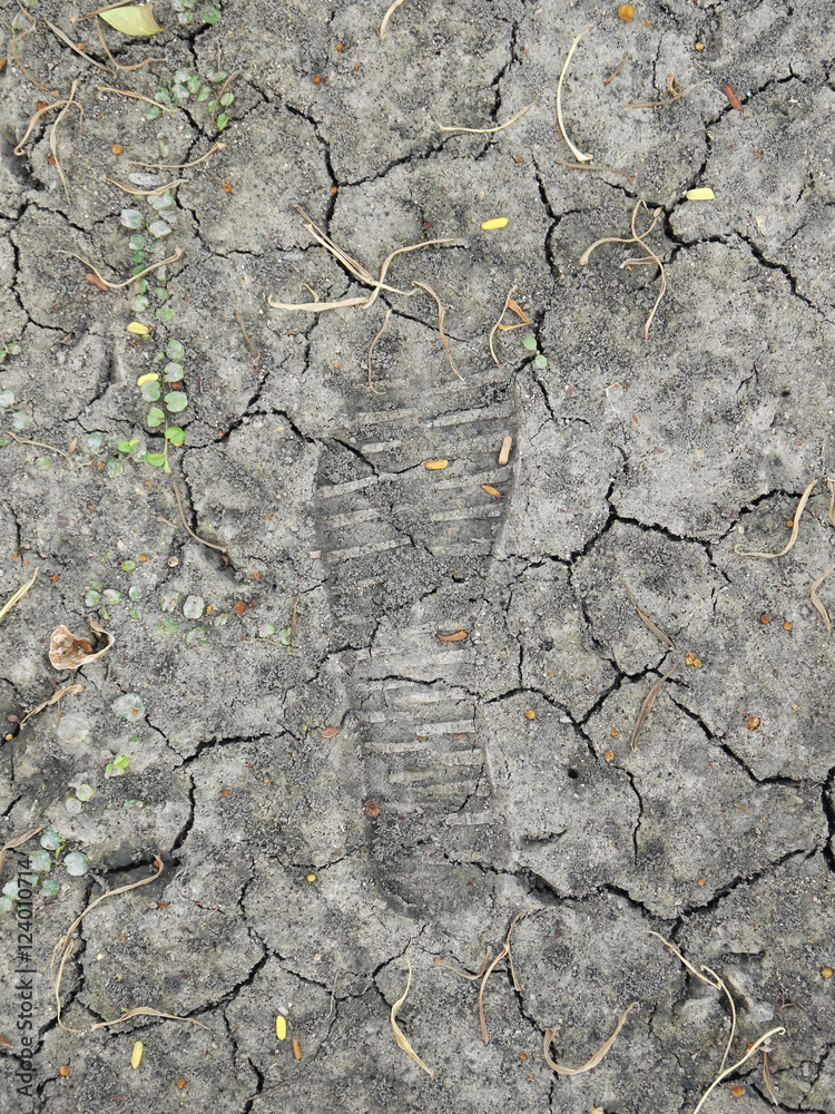 Fototapeta premium footprint on the ground with crack