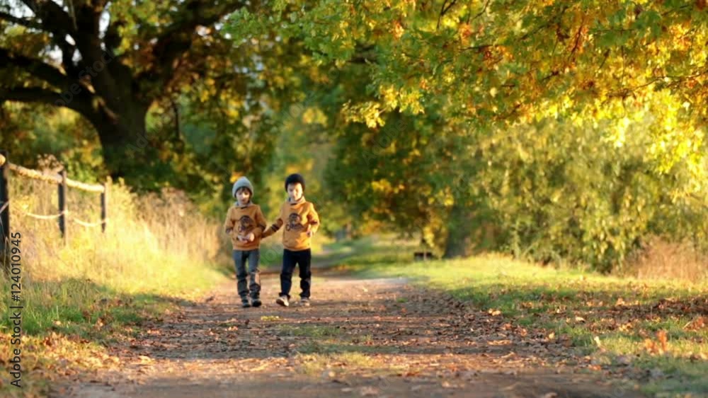 Two children, boys, walking on the edge of a lake on a sunny autumn afternoon, beautiful rural path in the park, beautiful autumn colors Two children, boys, walking on the edge of a lake on a sunny autumn afternoon, beautiful rural path in the park, beautiful autumn colors