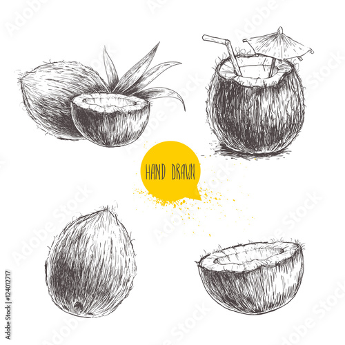 Hand drawn coconut set. Cocktail isolated on white background. Sketch vector tropical food illustration.