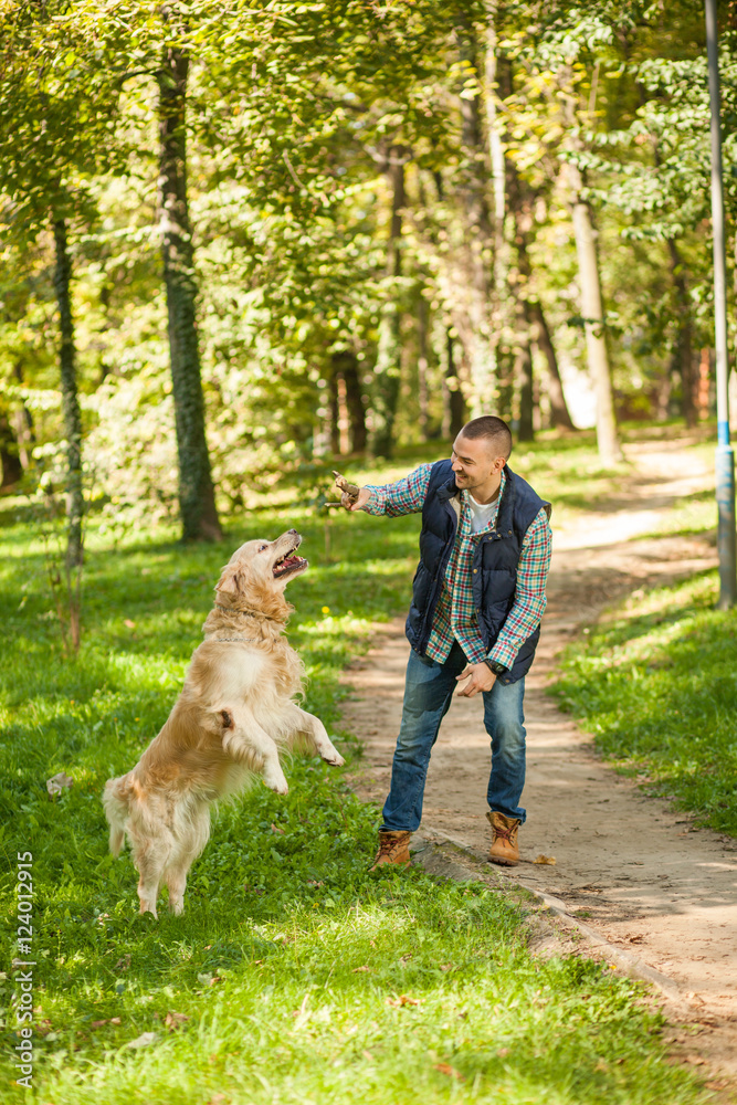 Fototapeta Young man walking a dog at the park in good weather. Boy and golden retriever. Autumn environment