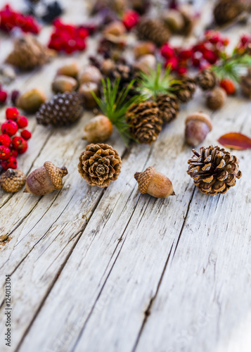 Autumn cones, acorns and rowan on wooden background with space for text.