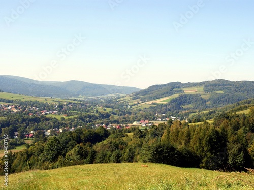 landscape of Carpathians mountains near Krempna village