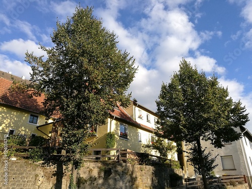 Wohnhäuser in Hanglage mit grünen Bäumender blauem Himmel mit weißen Wolken im Sonnenschein in der Bergstadt Oerlinghausen bei Bielefeld am Hermannsweg im Teutoburger Wald in Ostwestfalen-Lippe photo