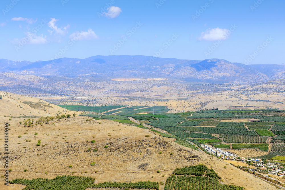 Naklejka premium Gardens in the desert.