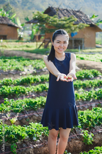 Asian girl holding fresh strawberry on her hands at strawberry farm photo