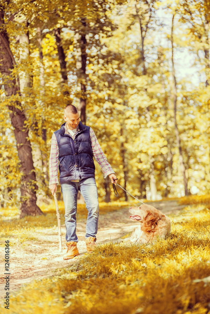 Young man walking a dog at the park in good weather. Boy and golden retriever.
Autumn environment Young man walking a dog at the park in good weather. Boy and golden retriever.
Autumn environment