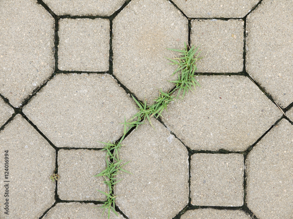 Obraz premium block brick and grass