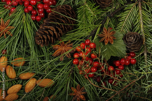 christmas frame