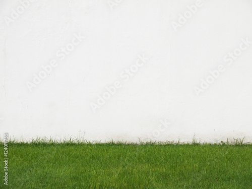 Green Grass and White Wall