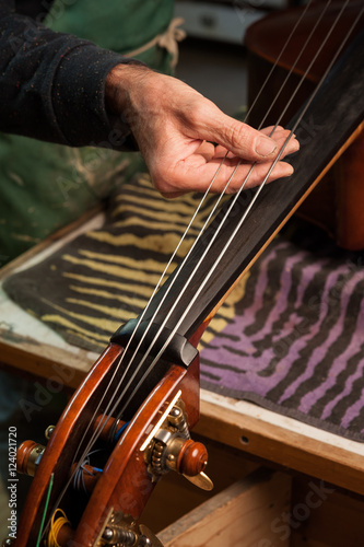 The violin-maker