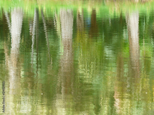 tree reflection river