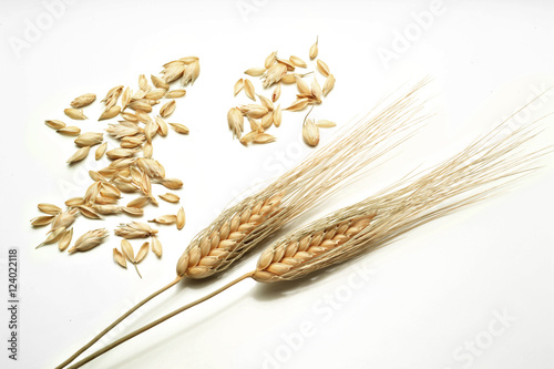 Spighe di grano