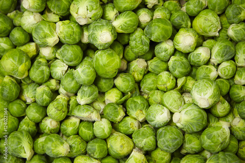 A whole page of Brussel sprout background texture photo