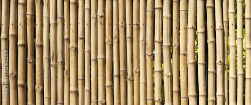 Fototapeta Naklejka Na Ścianę i Meble -  bamboo fence background