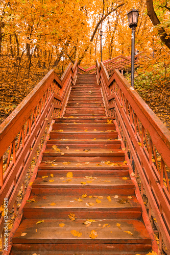 Fototapeta Naklejka Na Ścianę i Meble -  Wooden stairs with leaves in the autumn forest