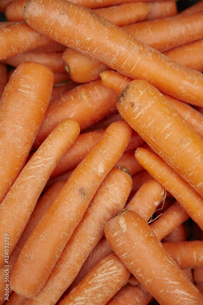 A whole page of carrot vegetable background texture A whole page of carrot vegetable background texture