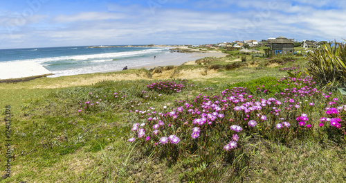 Canvas Print View of Punta del Diablo, Uruguay